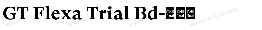 GT Flexa Trial Bd字体转换